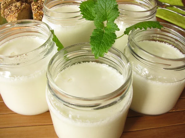 Naturjoghurt Aus Dem Joghurthersteller — Stockfoto