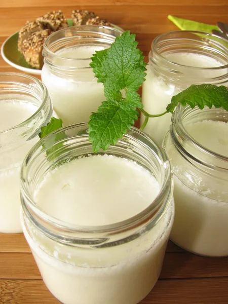 Yogur del fabricante de yogur —  Fotos de Stock