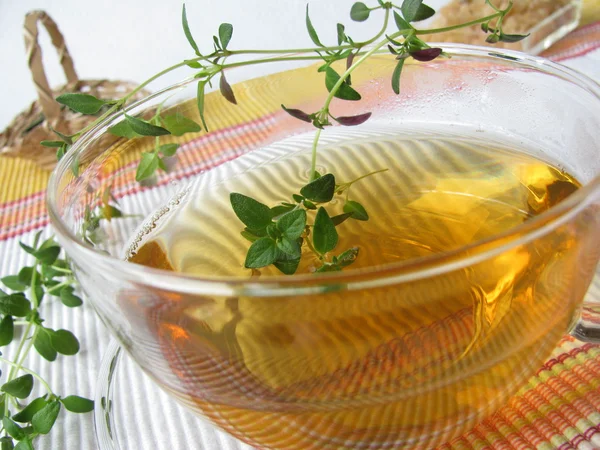 Herbal Tea Thyme — Stock Photo, Image