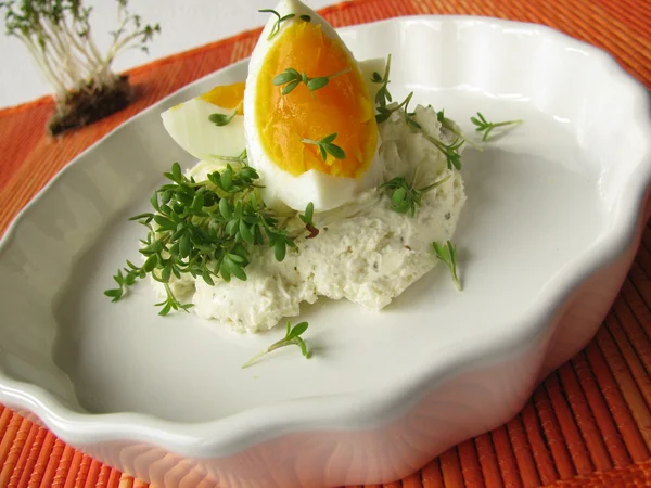 Egg on cream cheeses with cress — Stock Photo, Image