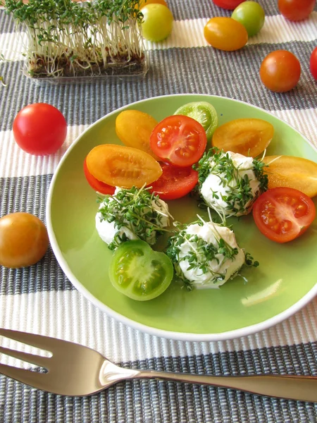 Cream cheese balls with cress and tomatoes — Stock Photo, Image