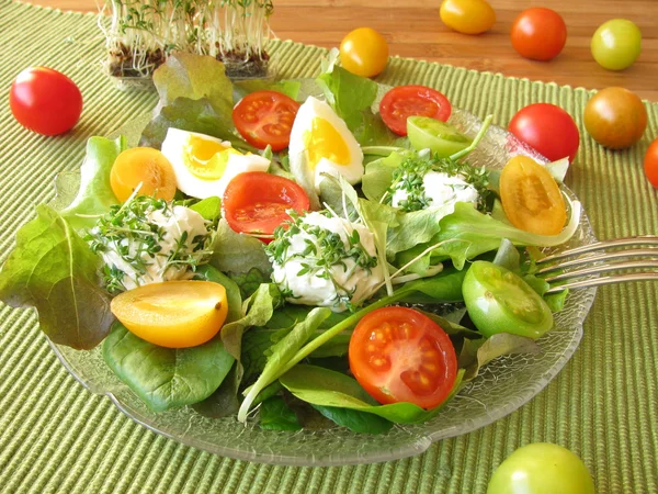 Salad with tomatoes and cream cheese balls with cress — Stock Photo, Image