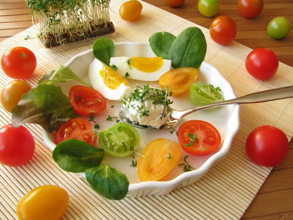 크리올, 토마토, 달걀이 들어 있는 크림 치즈 공 — 스톡 사진