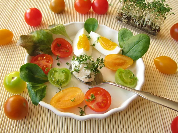 Cream cheese ball with cress, tomatoes and egg — Stock Photo, Image
