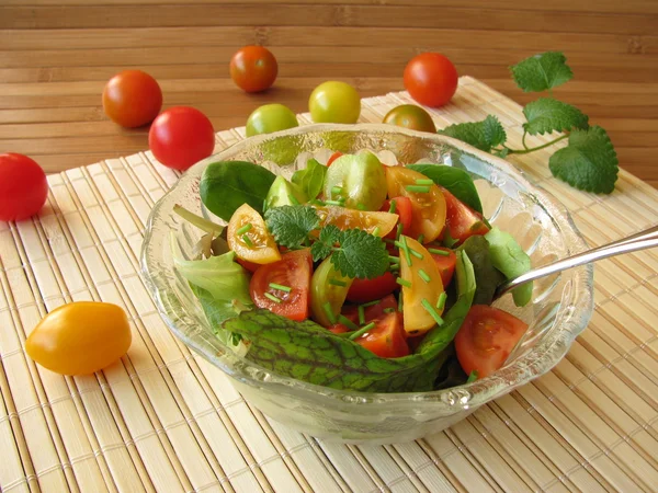 Salad with colored tomatoes — Stock Photo, Image