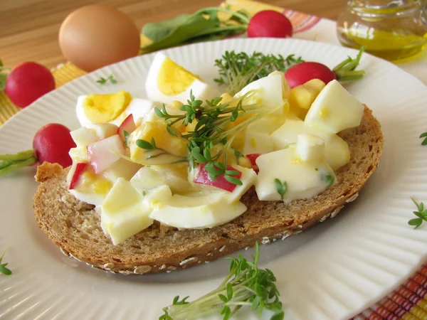 Eggesalat med karse og reddik på speltbrød – stockfoto