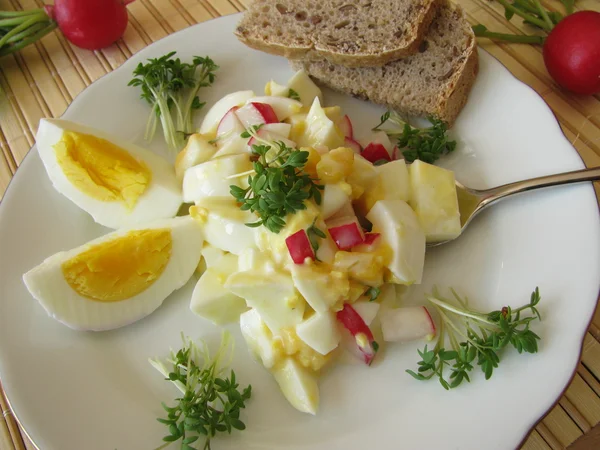 Eggsalat med reddik og karse – stockfoto