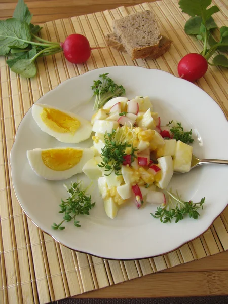 Jajko sałatka z rzodkiewki i rzeżucha — Zdjęcie stockowe