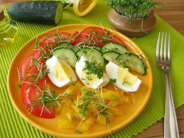 Mixed salad with cress and egg — Stock Photo, Image