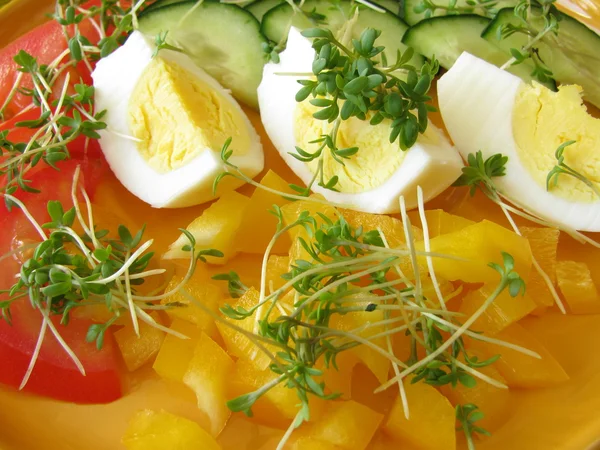 Salada mista com agrião e ovo — Fotografia de Stock