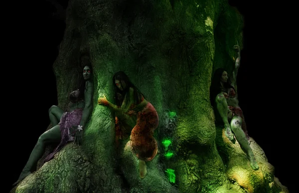 三个梦幻般的女孩坐在绿树的树干上 — 图库照片