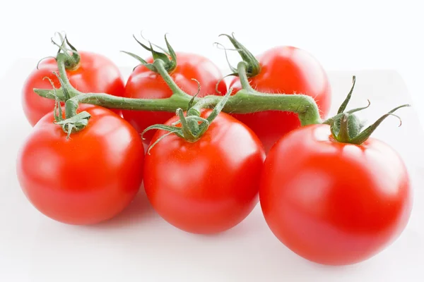トマトの束 ストック画像
