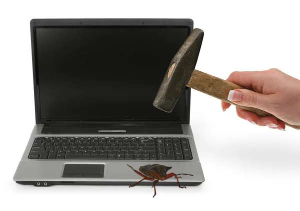 Concept of computer bug — Stock Photo, Image