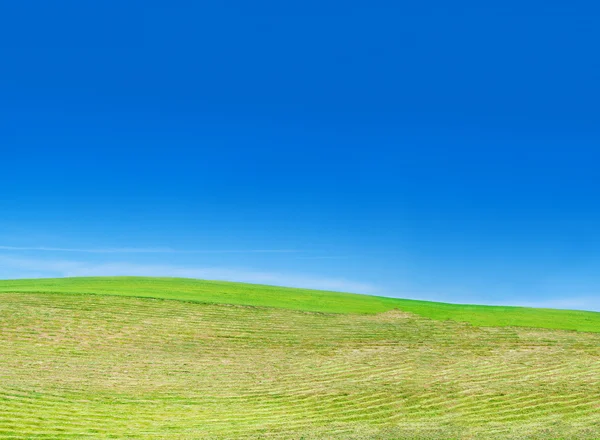 Świeżo skoszony trawnik — Zdjęcie stockowe