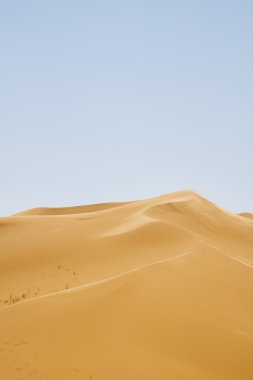 Desert clipart