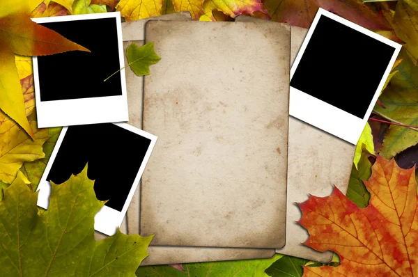 Papers and photos on a leaves background — Stock Photo, Image