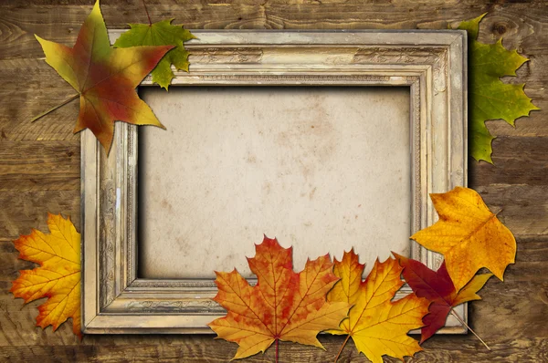 Frame and leaves — Stock Photo, Image