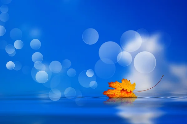 水に落とされた葉します。 — ストック写真