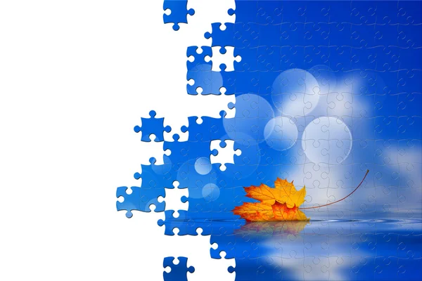 Puzzle aus auf das Wasser gefallenen Blättern — Stockfoto