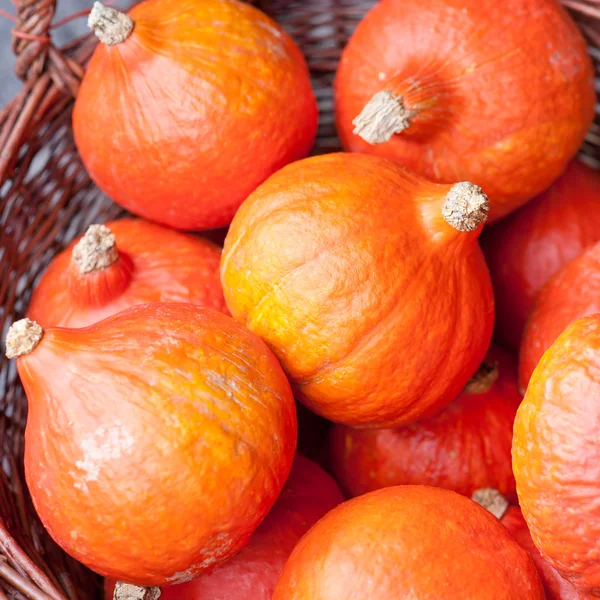 Pumpkins at a market — Stock Photo, Image