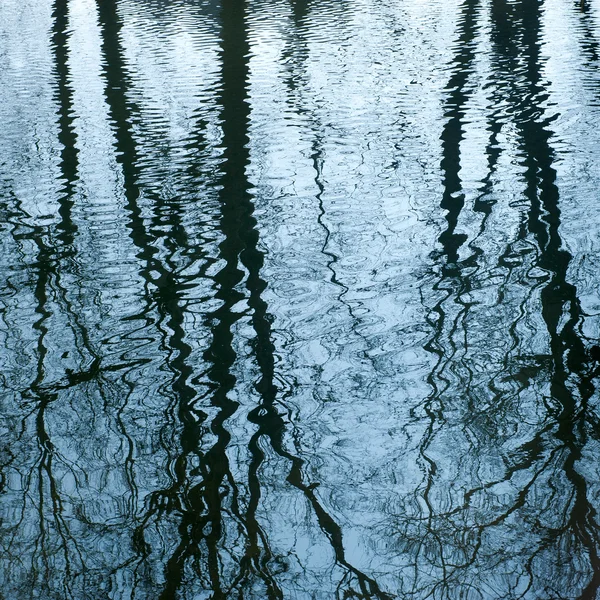 Beautiful mirroring of trees on water surface