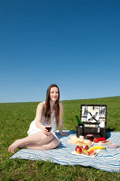 Прекрасная молодая женщина устраивает пикник — стоковое фото