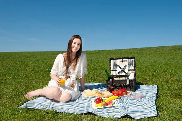 Güzel bir genç kadın piknik — Stok fotoğraf