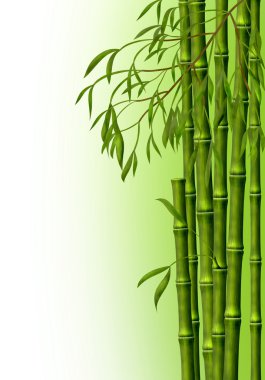 A bamboo grove, the background clipart