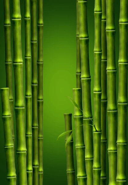 Bakgrund från stjälkar av bambu Royaltyfria Stockbilder