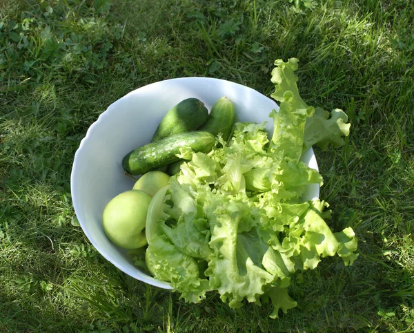 Warzywa na sałatkę na zielonej trawie — Zdjęcie stockowe