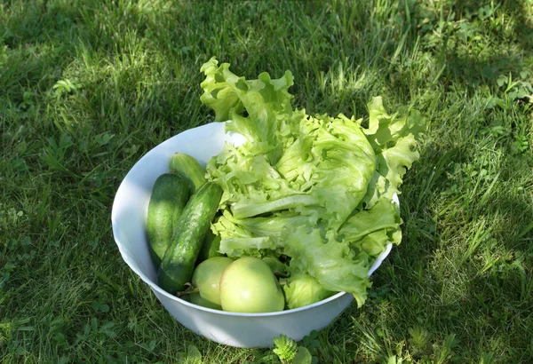 sebze salatası bir çimenlerin üzerinde