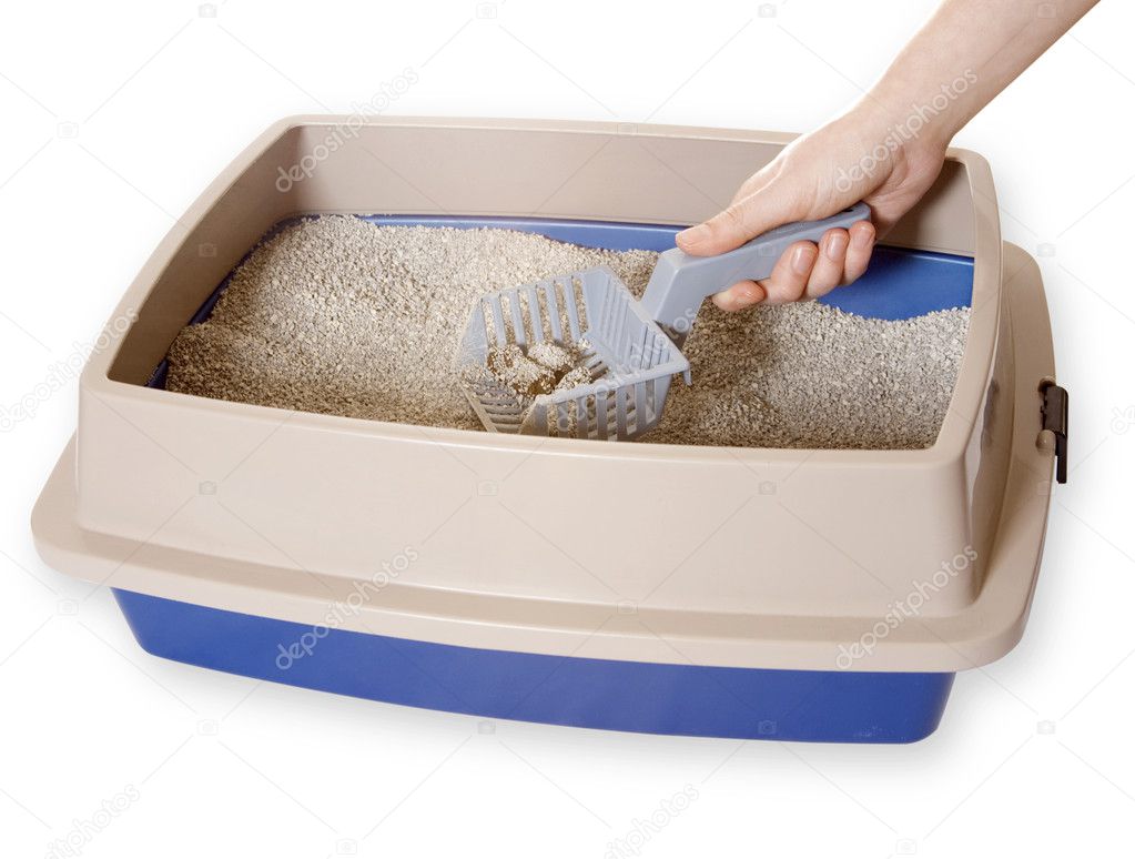 Cleaning Out Litter-box
