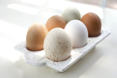 Farm Fresh Eggs clipart