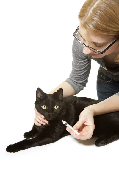 Kvinna ger katten medicinering — Stockfoto