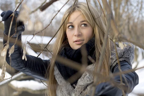 Chica caminando en el bosque de invierno — Foto de Stock