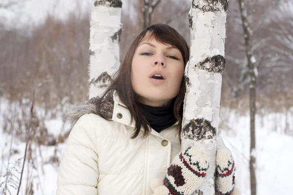 Söt flicka gå i vinter skog — Stockfoto