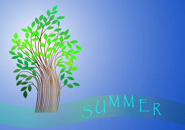 Summer tree. vector. — Stock Vector