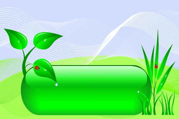 Bannière Eco design . — Image vectorielle