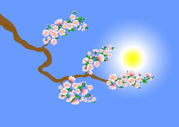 春天盛开的花朵与分支 — 图库矢量图片