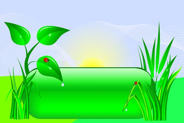 Bouton Eco Design Avec Arbre Herbe Vecteur — Image vectorielle