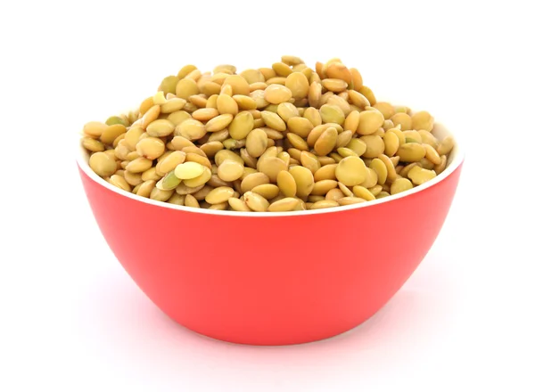 Close View Cooked Green Lentil Red Bowl White Backgroun — Stock Photo, Image