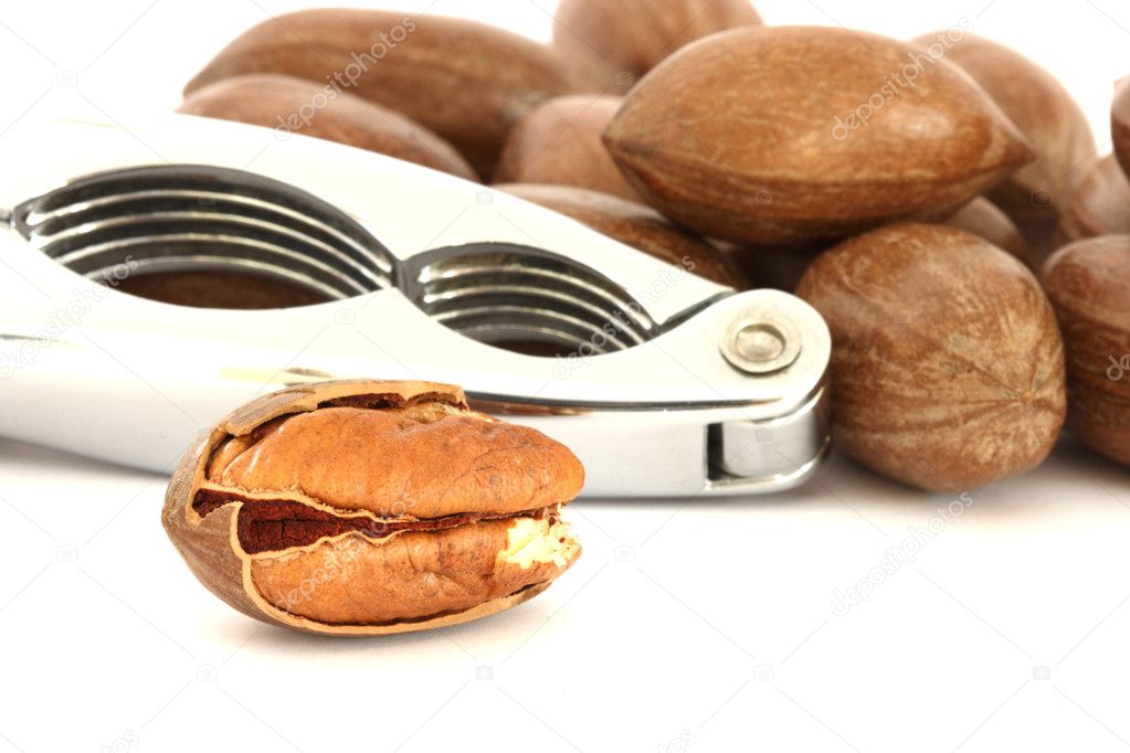 Detail view of pecan nuts and nut-cracker on white background
