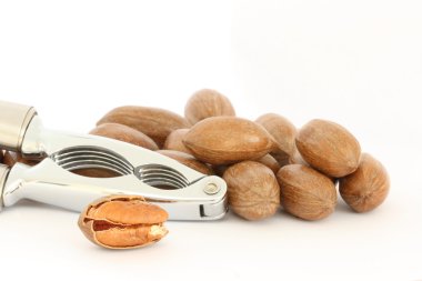 Pecan nuts and nut-cracker clipart