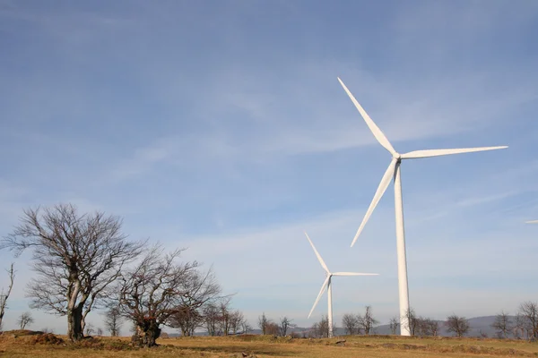 Paisagem com moinhos de vento — Fotografia de Stock