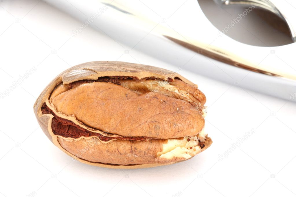 Pecan nut and nut-cracker