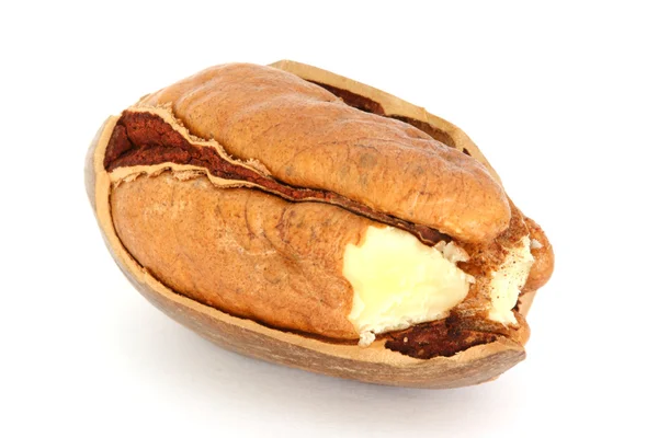Pecan nut and nut-cracker — Stock Photo, Image