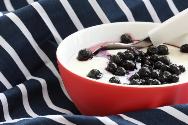 stock image Red bowl with children porridge / mush with blueberries