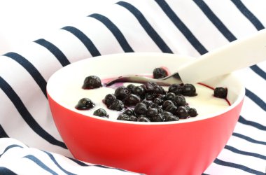 Close up view of hot baby porridge in red bowl - sprinkled with cooked blueberries on dark blue background clipart