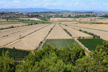 Oppidum d'Ensérune
