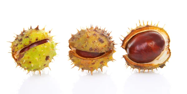 Three chestnuts — Stock Photo, Image